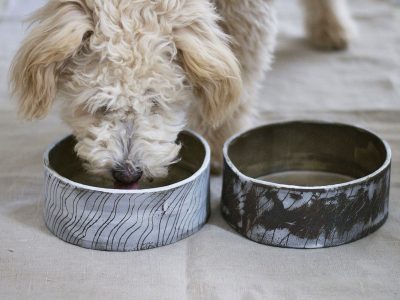 make a personalized pet bowl