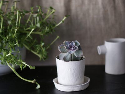flower pot ceramic workshop